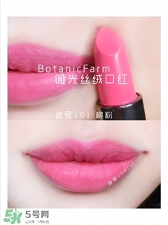 ֲ����԰�ں촽��ɫ�� ֲ����԰�ں촽����ɫ